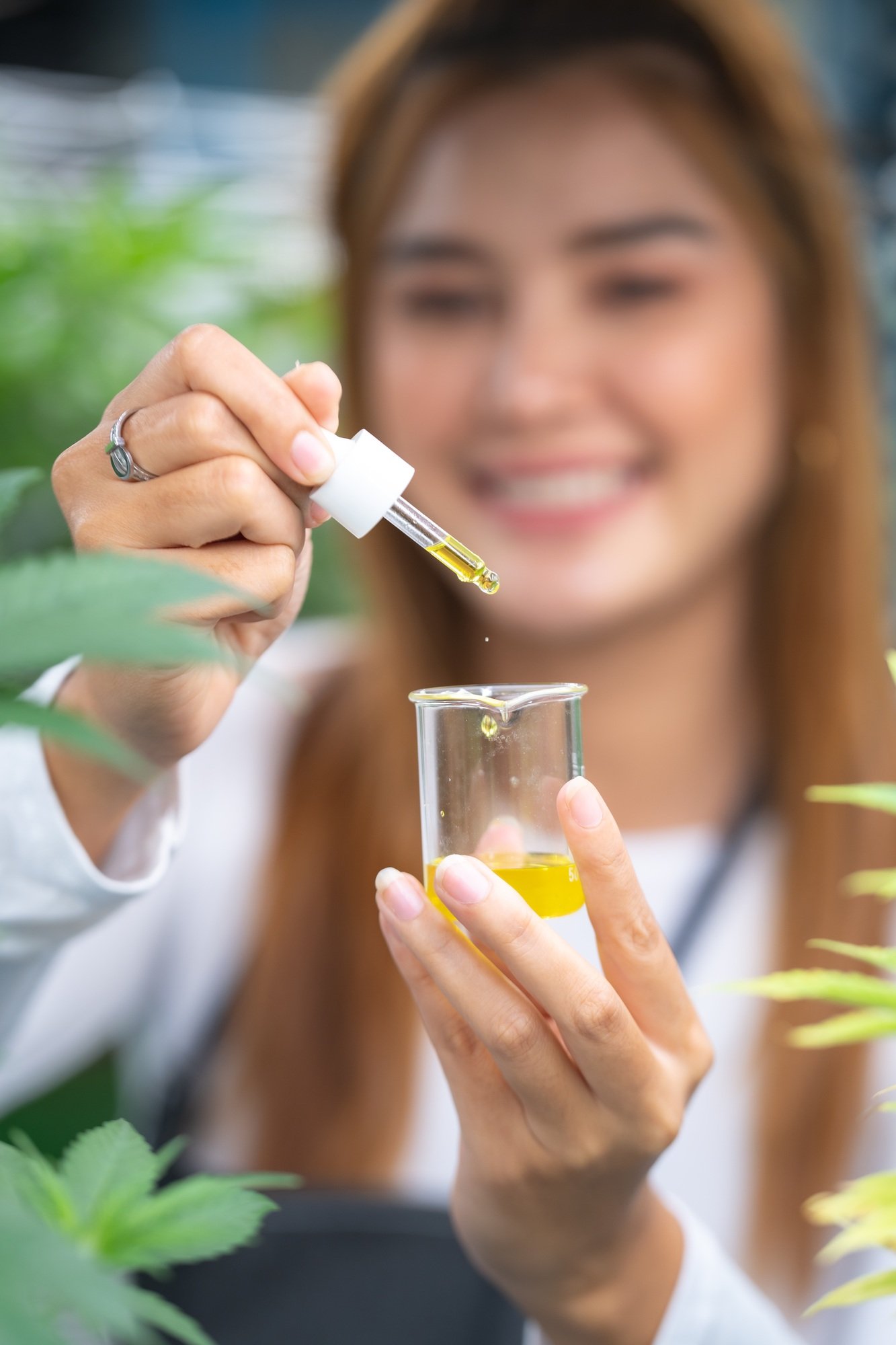 scientist checking hemp plants in weed greenhouse. herbal alternative medicine, cbd oil