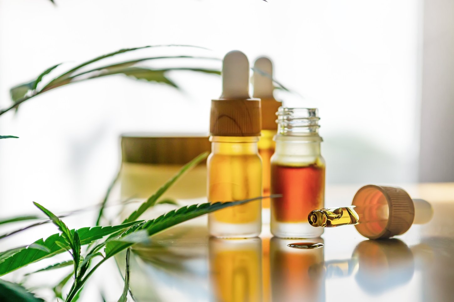 backlit-cbd-cannabis-oils-and-hand-skin-cream-alt-2025-01-10-03-58-18-utc