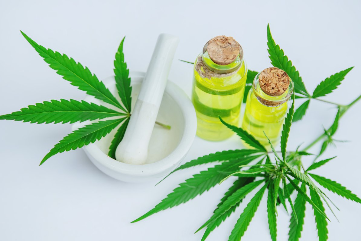 Cannabis herb and leaves for treatment broth, tincture, extract, oil. Selective focus.