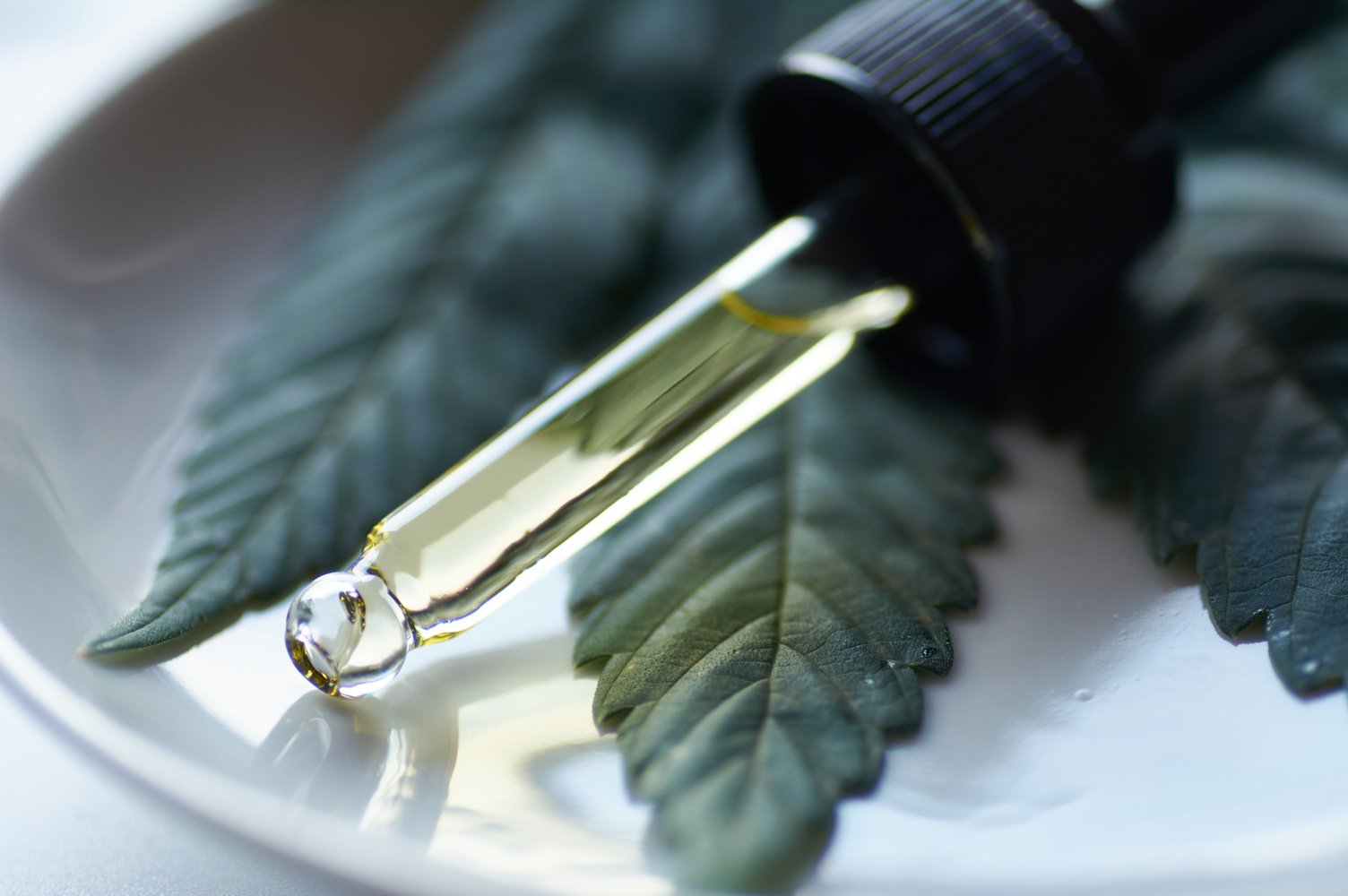 Closeup shot of a dropper on a plate with leaves