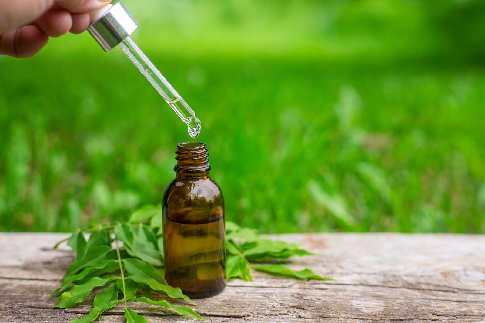 Moringa essential oil and supplements. Selective focus.